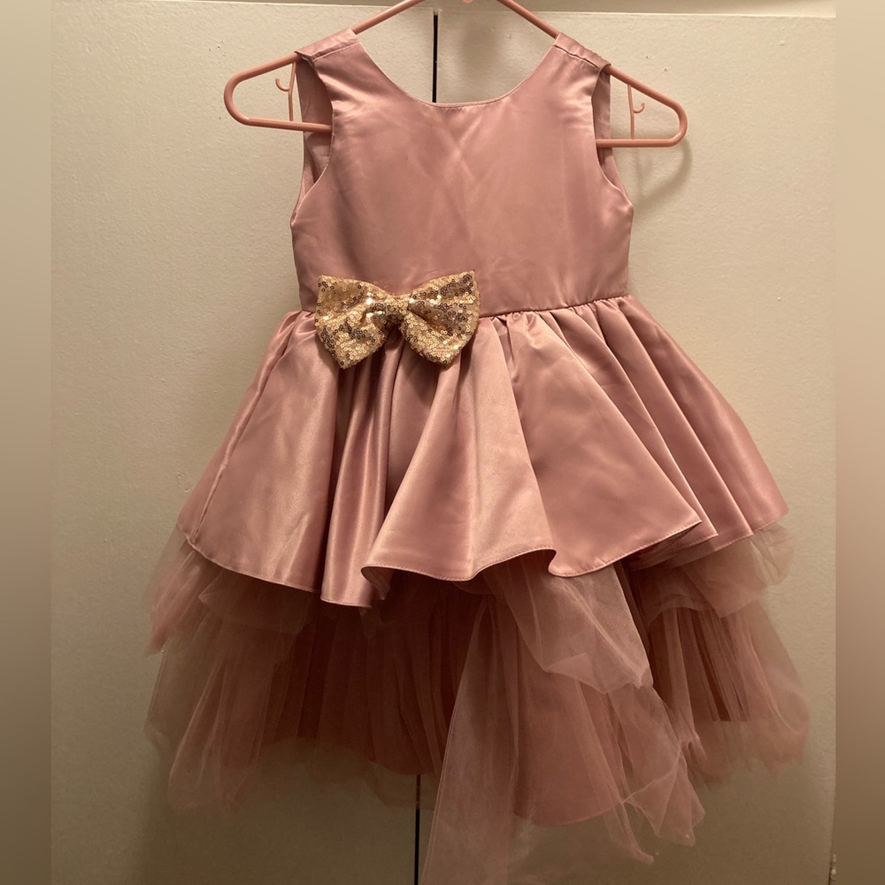 Rose toddler pink dress